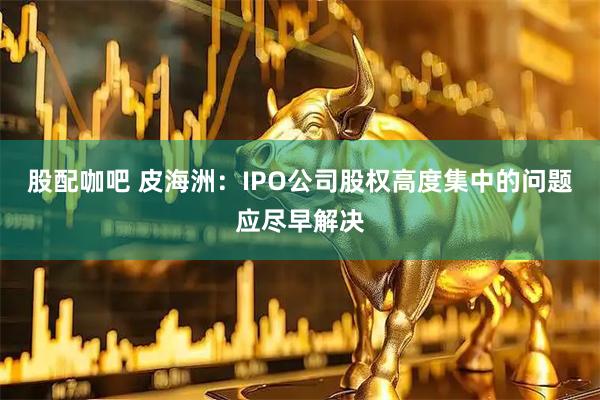 股配咖吧 皮海洲：IPO公司股权高度集中的问题应尽早解决