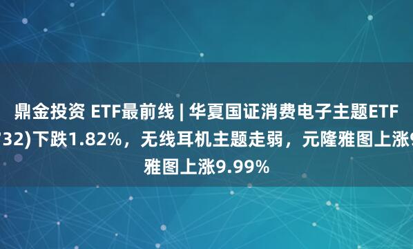 鼎金投资 ETF最前线 | 华夏国证消费电子主题ETF(159732)下跌1.82%，无线耳机主题走弱，元隆雅图上涨9.99%