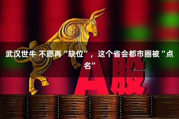 武汉世牛 不愿再“缺位”，这个省会都市圈被“点名”