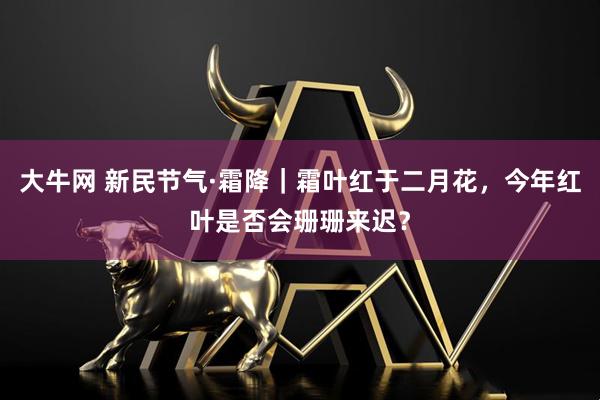 大牛网 新民节气·霜降｜霜叶红于二月花，今年红叶是否会珊珊来迟？